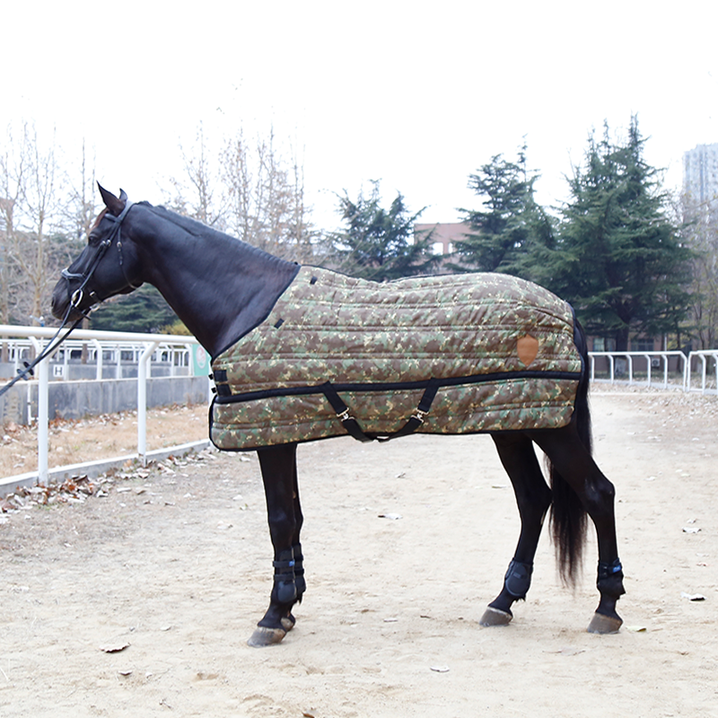 말에 의해 물기를 방지하기 위해 다채로운 직물로 3XS 겨울 담요 말 양탄자 Ponny horse stable Rug